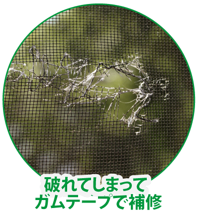 破れてしまってガムテープで修繕