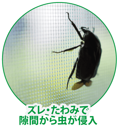 ズレ・たわみで隙間から虫が侵入